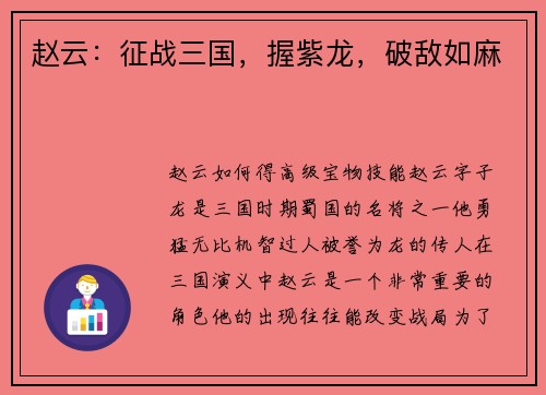 赵云：征战三国，握紫龙，破敌如麻