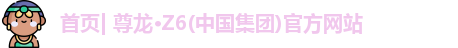 尊龙·Z6
